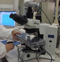 Linkam's optical shearing stage mounted on an Olympus microscope at the University of Salerno for the study of rheological properties